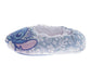 "Disney Stitch Slippers for Girls  Stitch Design Blue Warm Soft Fleece Padded Sole (Toddler/Little Kid)